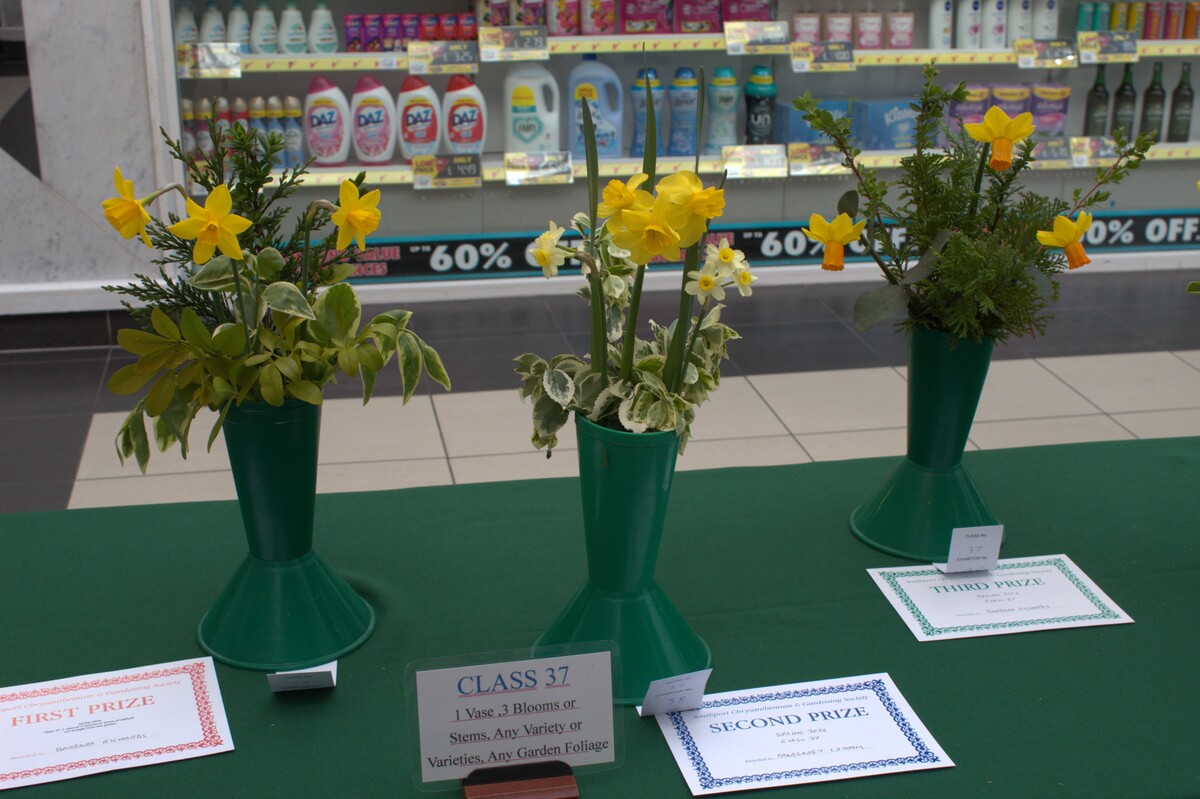 Spring Show 2026 1 vase of 3 blooms or stems of daffodil cut straight from the garden Class